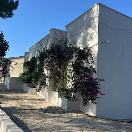 Bouganville 2 Willa Ostuni