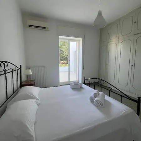 Bouganville 2 *