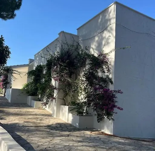 Bouganville 2 别墅 奥斯图尼