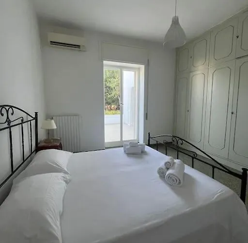 Bouganville 2 *